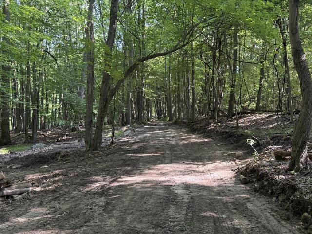 Land for sale in Dryden, Michigan