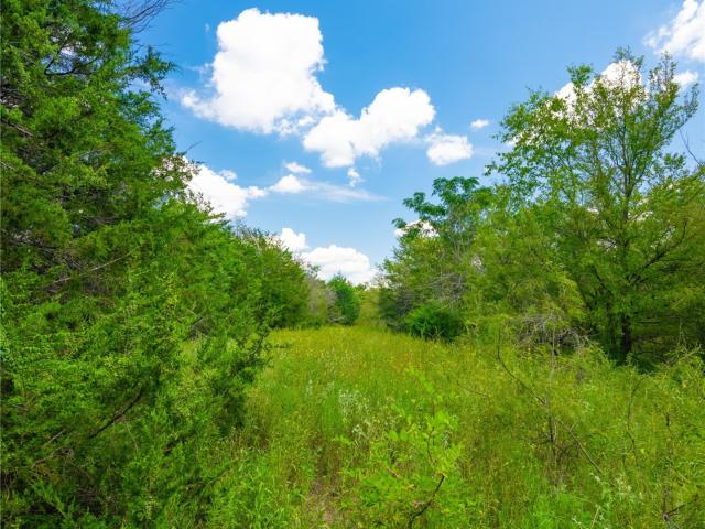 Land for sale in Limestone, Texas