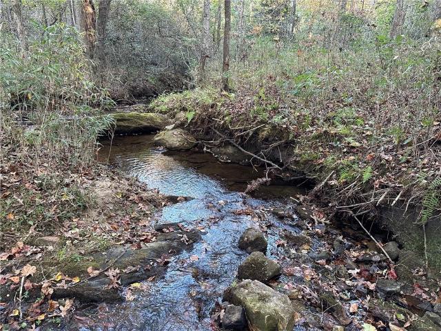 Land for sale in Dahlonega, Georgia
