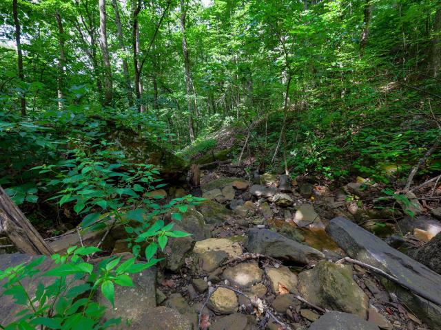 Land for sale in Tennessee