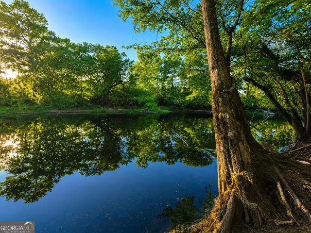 Land for sale in Nahunta, Georgia