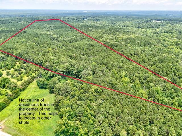 Land for sale in Elbert, Georgia