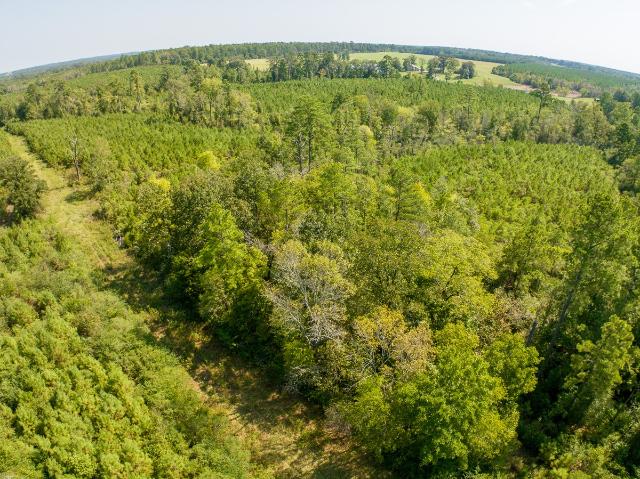 Land for sale in Lufkin, Texas