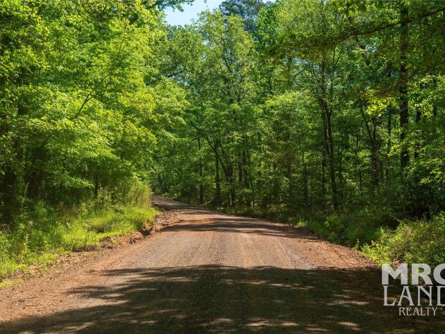 Land for sale in Garrison, Texas