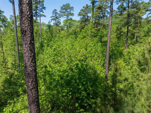 Land for sale in Garrison, Nacogdoches County