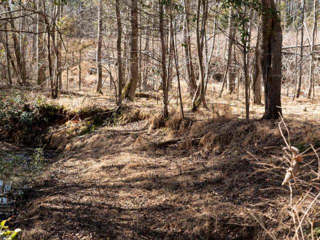 Land for sale in Abbeville, South Carolina