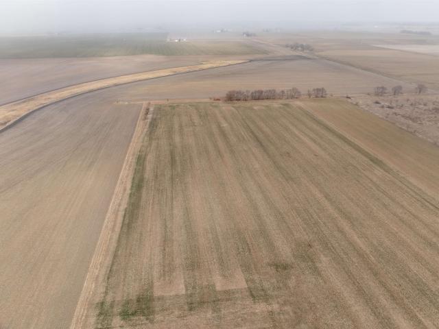 Land for sale in Whiteside, Illinois