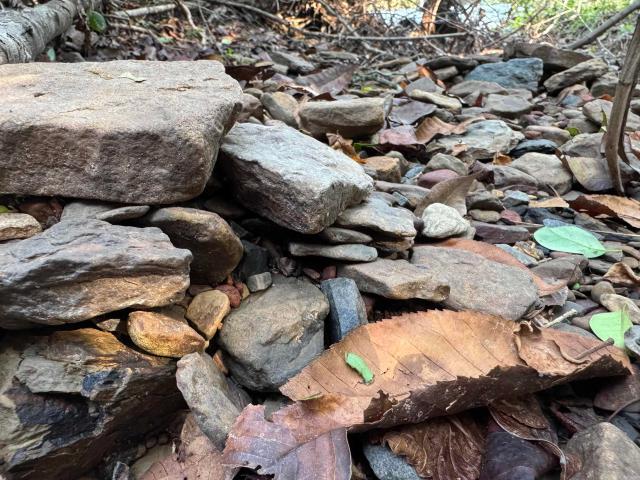 Land for sale in Ark