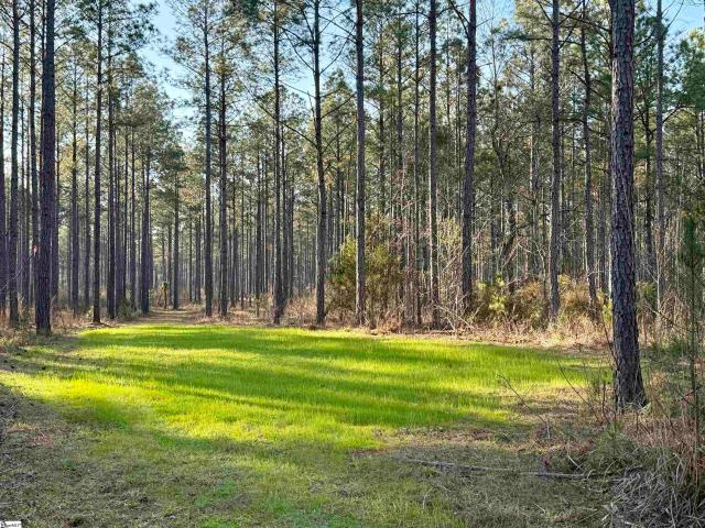 Land for sale in South Carolina