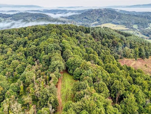 Land for sale in Alleghany County, North Carolina