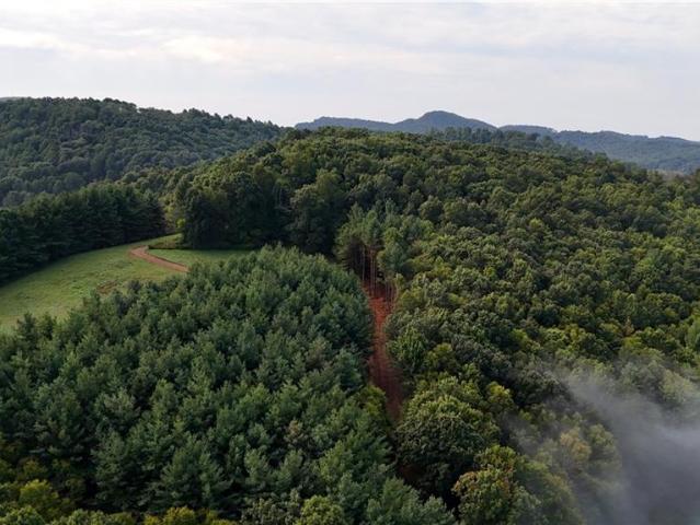 Land for sale in Alleghany County, North Carolina
