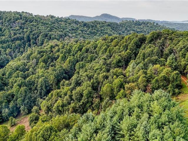 Land for sale in Alleghany, North Carolina