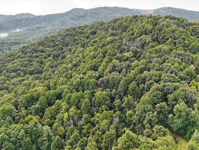 Land for sale in Alleghany County, North Carolina