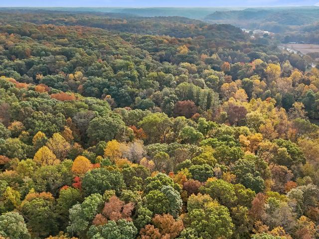 Land for sale in Nashville, Brown County