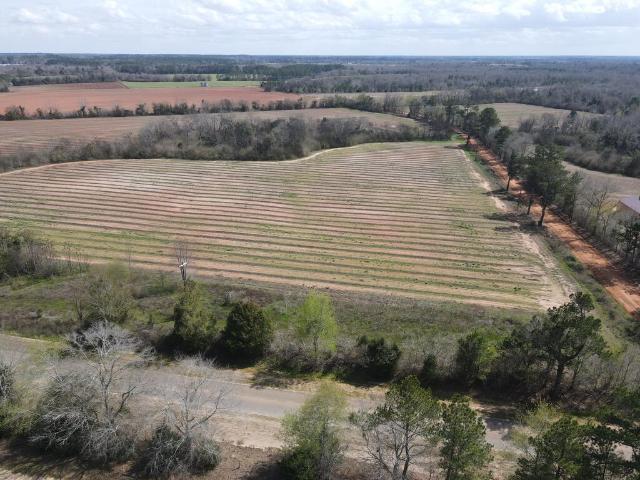 Land for sale in Ashford, Alabama