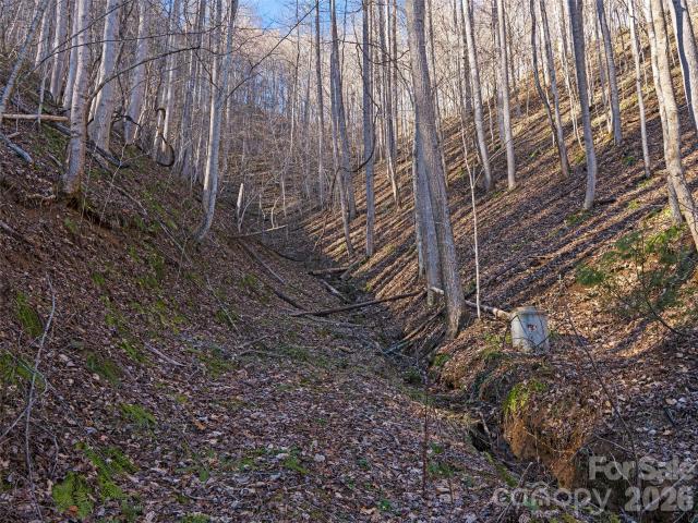 Land for sale in Yancey, North Carolina