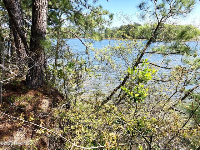 Land for sale in Blades, Havelock