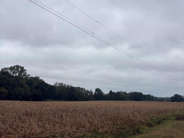 Land for sale in Ripley, West Tennessee