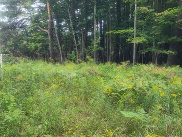 Land for sale in Whittemore, Iosco County