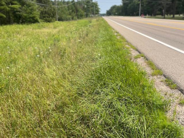 Land for sale in Michigan