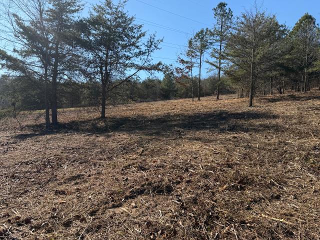 Land for sale in Ringgold, Catoosa County