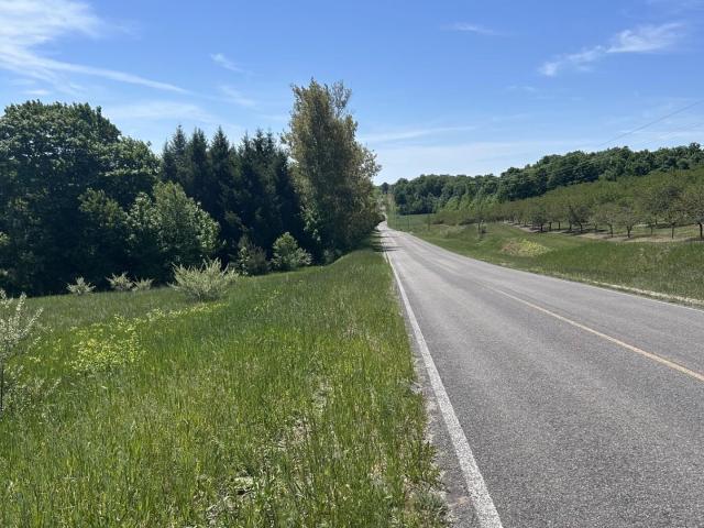 Land for sale in Michigan