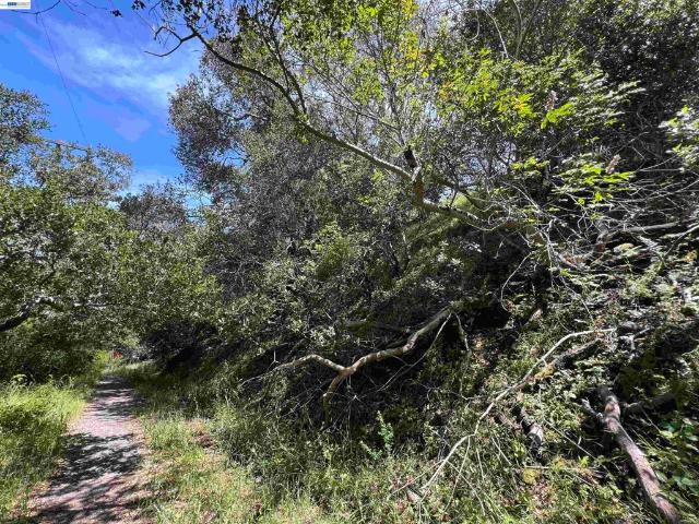 Land for sale in San Mateo, California