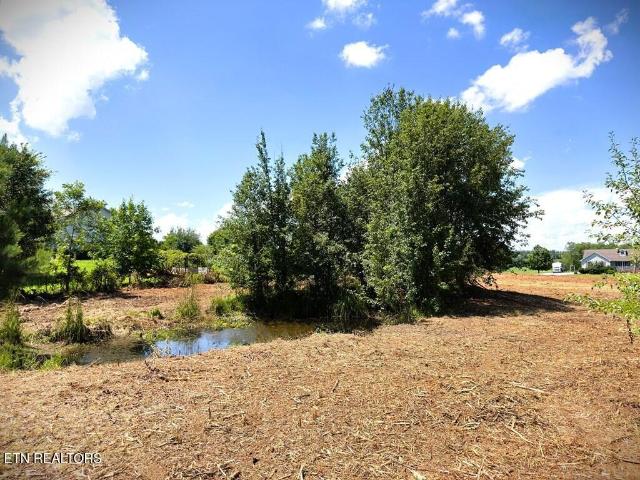 Land for sale in Tennessee