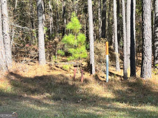 Land for sale in Lincolnton, Georgia