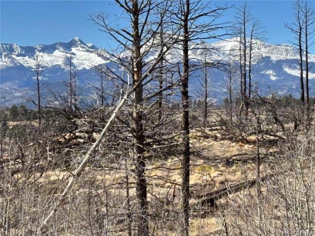 Land for sale in Fort Garland, Costilla County