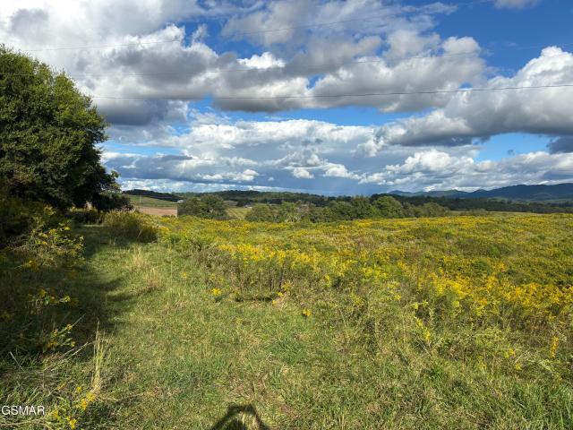 Land for sale in Parrottsville, East Tennessee