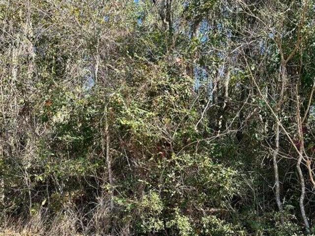 Land for sale in Ocean Springs, Mississippi