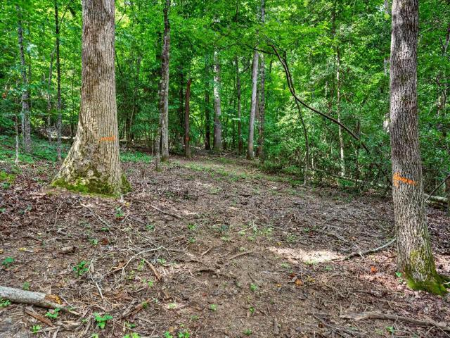 Land for sale in Anderson, South Carolina