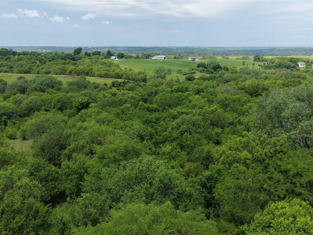 Land for sale in Avenue, Iowa