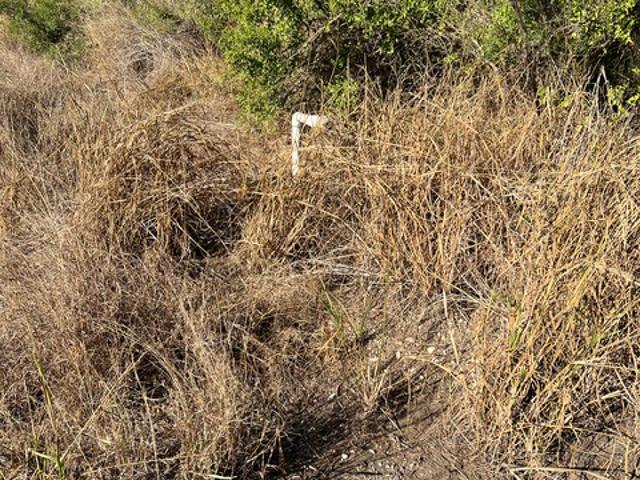 Land for sale in Jourdanton, Atascosa County