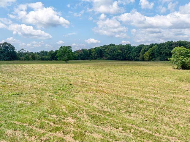 Land for sale in Salem, Watkinsville