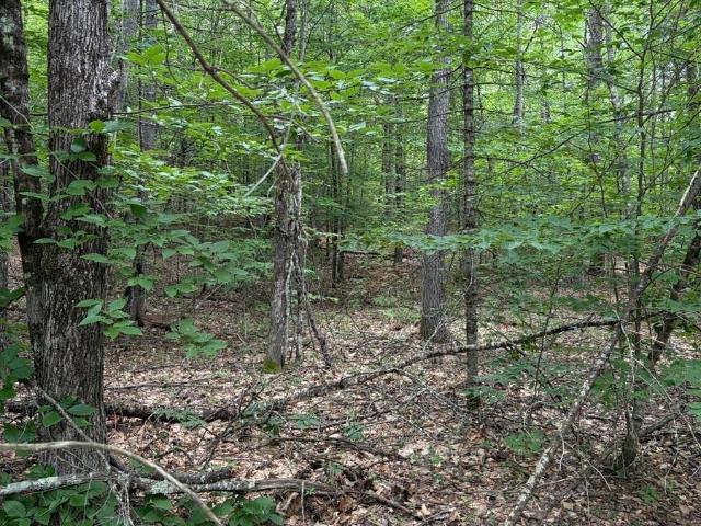 Land for sale in Freedom, Carroll County