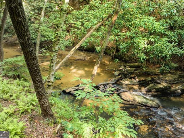 Land for sale in Mineral Bluff, Georgia