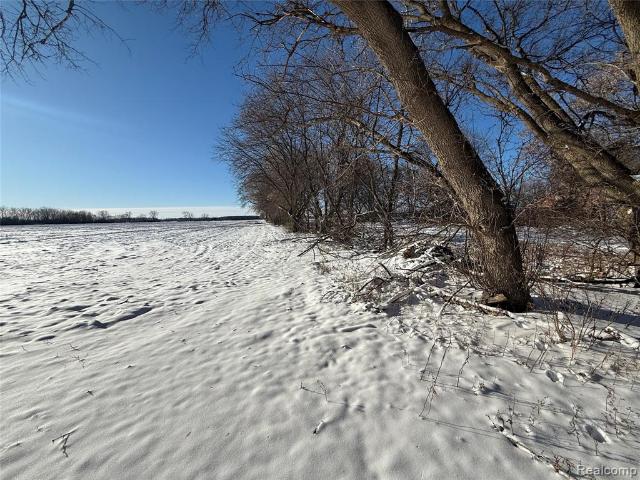 Land for sale in Capac, Michigan