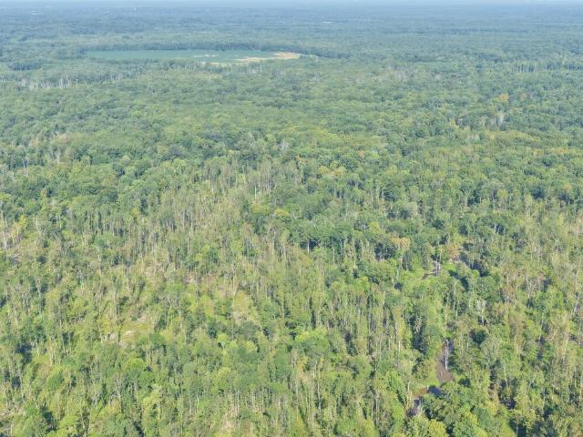 Farm for sale in Benton, Marshall County