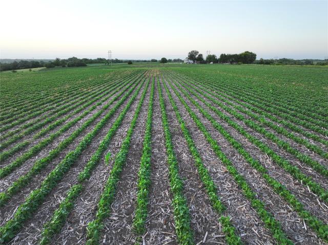 Land for sale in Iowa