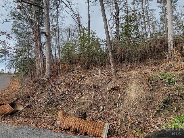 Land for sale in Spruce Pine, North Carolina