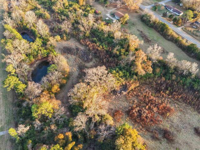 Land for sale in Centreville, Alabama