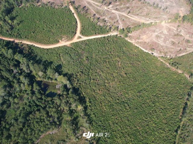 Land for sale in Edgefield, South Carolina