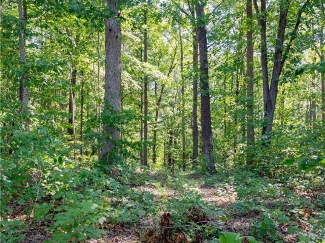 Land for sale in Fergusonville, Crewe