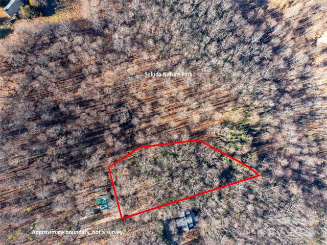 Land for sale in Saluda, North Carolina