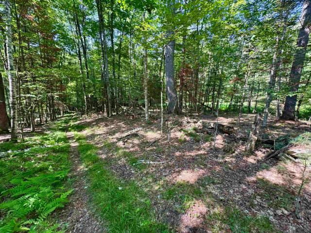 Land for sale in New Hampshire
