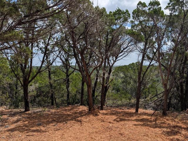 Land for sale in Jonestown, Texas