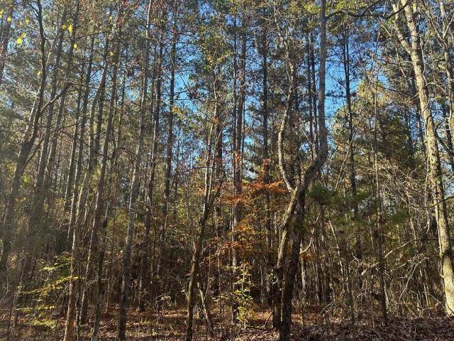 Land for sale in Decatur, East Tennessee