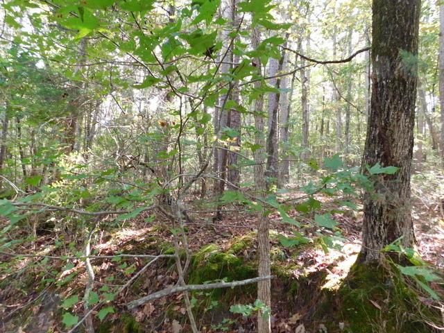 Land for sale in Ark